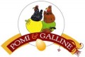 Pomi & Galline in Porano