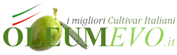 Olio extravergine di oliva italiano di varie regioni italiane