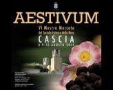 Aestivum. VI Truffle Market Exhibition and Summer Rose